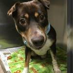 Robert Richardson Profile Picture