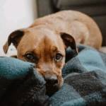 Eric Coleman Profile Picture