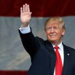 Michael Knob Profile Picture