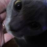 Elizabeth Fuller Profile Picture