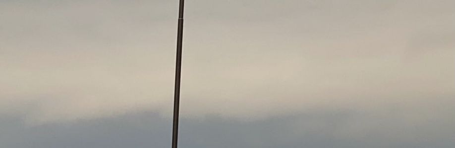 W Dan Dobson Cover Image