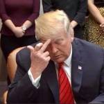 Pam Miller Profile Picture