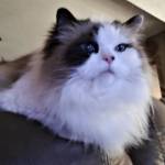 Suzanne M. Profile Picture