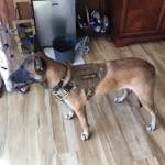 Stephen Lee Profile Picture