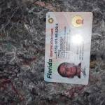 StevenWilliams Profile Picture