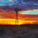 Whit Dross Profile Picture