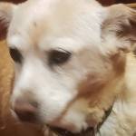 sandy1952 Profile Picture