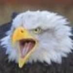 JeffMoff Profile Picture