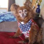 Patti LaRue Profile Picture