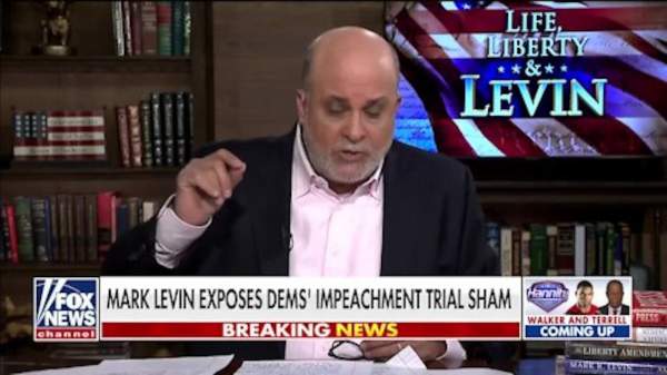 Levin: Americans witnessing 'some of the stupidest' events in history