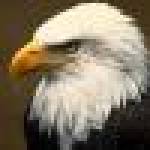 Don Stevenson Profile Picture