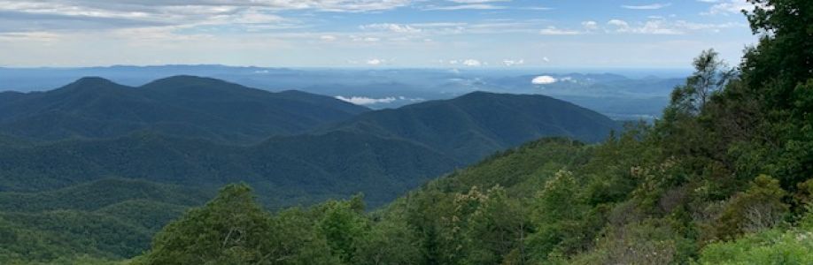 Peter Pavarini Cover Image