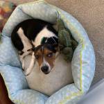 Tamera Atteberry Profile Picture