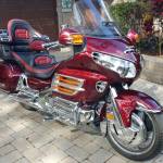 Jeff Davis Profile Picture