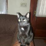 Christine Griffin Profile Picture