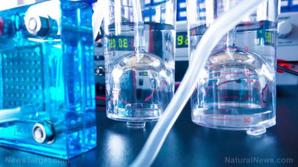 Hyzon Motors to build largest fuel cell material production facility in America – NaturalNews.com