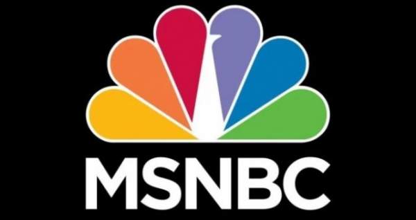 MSNBC Is Calling For EVERY 1 In 10 Americans INCLUDING Military And LEO To Be Investigated For THIS Reason
