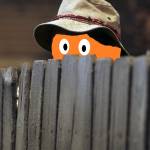 Wilson Tangerine Profile Picture