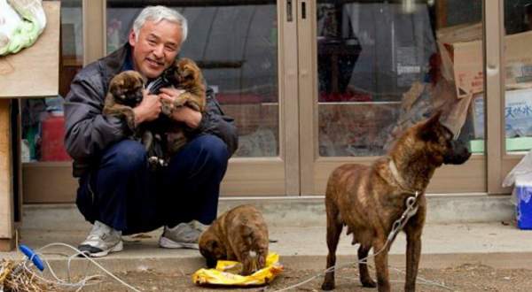 10 Years After Fukushima Nuclear Disaster, Two Men Are Still Living There Taking Care of Everyone's Pets