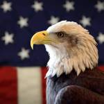 Dex Kaptain Profile Picture