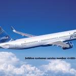 JetBlue Airline Profile Picture