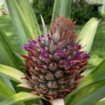 TerryMueth Profile Picture