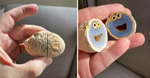 Geologist Finds Blue Quartz Volcanic Rock With Cross-Section That Looks Like Cookie Monster Inside
