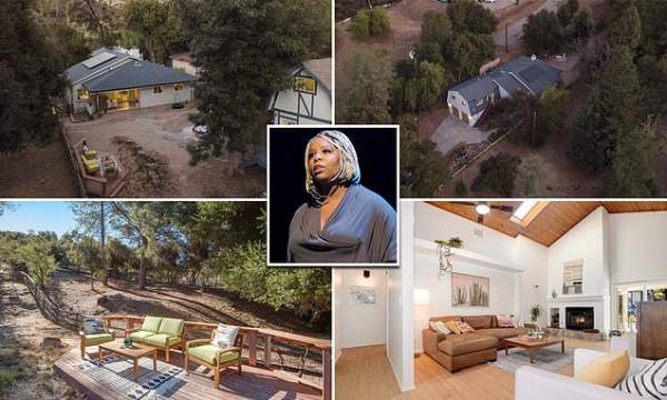 BLM founder is branded a FRAUD after buying a $1.4 million home | Daily Mail Online