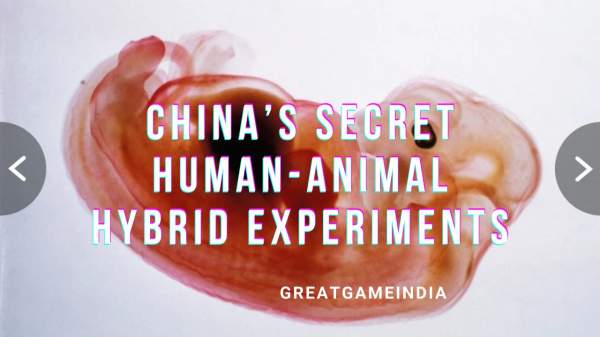 China's Secret Human Animal Hybrid Experiments | GreatGameIndia