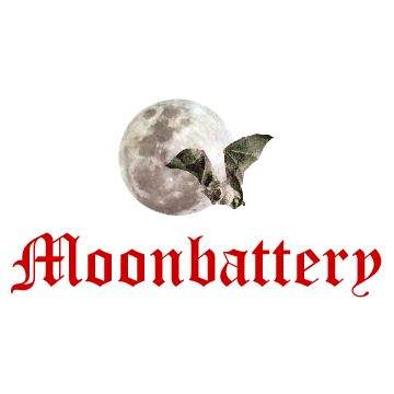 Moonbattery Reaction to Georgia Confirms Democrats Rely on Fraud - Moonbattery