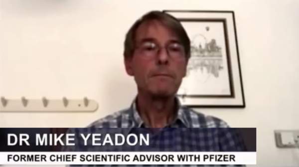 Ex-Pfizer Vice-President: COVID-19 Vaccines to Cause "Mass Depopulation" Event Within 2 years | The Red Elephants
