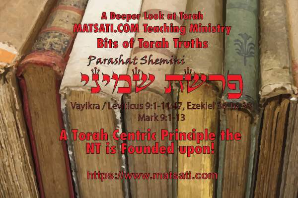 A Torah Centric Principle the NT is Founded upon! פרשת שמיני, Parashat Shemini, Bits of Torah Truths - Digging Deeper - MATSATI.COM Teaching Ministry