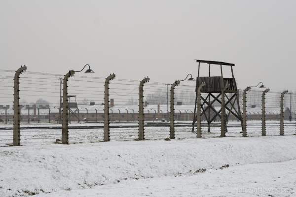 NY Senate just passed a concentration camp bill to forcibly throw people in camps, just like the Nazis did in World War II - Patriot Daily Press