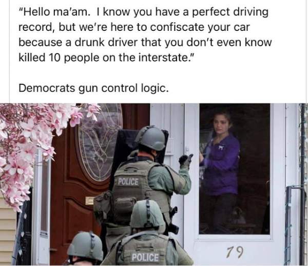 More Gun Control Logic - Common Sense Evaluation