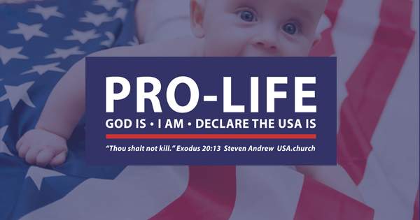 To heal our land, Steven Andrew calls the nation to declare: The USA Is Pro-life!