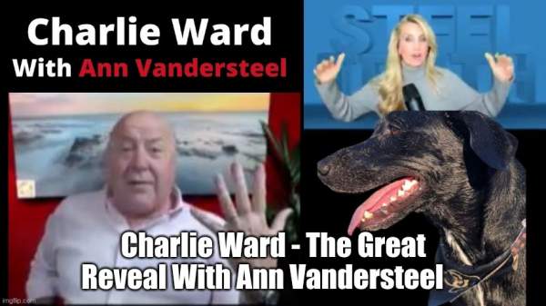 Charlie Ward - The Great Reveal With Ann Vandersteel    (Video) | Alternative | Before It's News