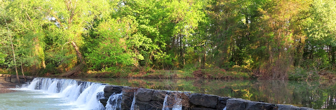 Randy Moll Cover Image