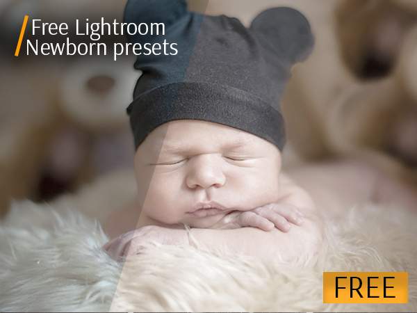 Top Lightroom presets for optimizing the workflow - Softonic