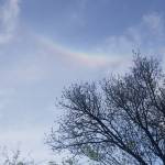 Angelahickshallford Profile Picture