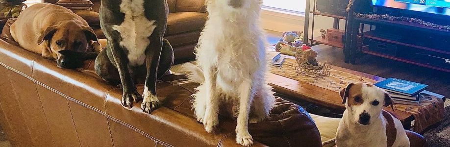 Pamela Mainous Cover Image