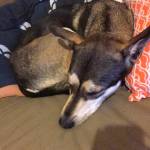 Paula Cook Profile Picture