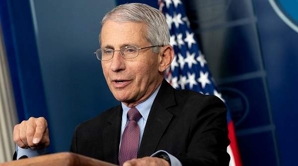 Fauci caught funding grotesque experiments with aborted babies