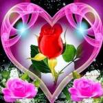 Anthony Michael Profile Picture