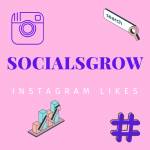 SocialsGrow Instagram Likes Profile Picture