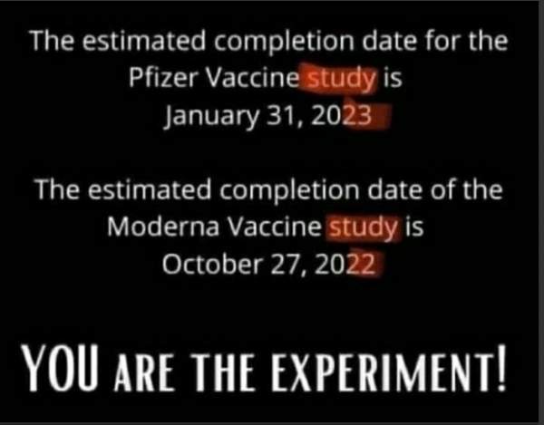 You are the Experiment