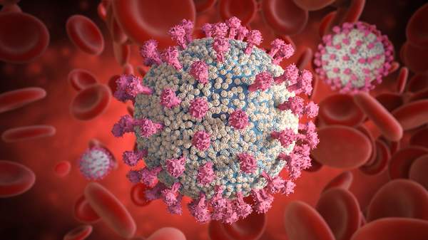 Study: Coronavirus was circulating in the US as early as December 2019 – NaturalNews.com
