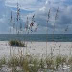 mamajo21 Profile Picture