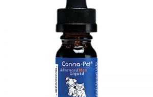 Which Is The Best CBD Oil For Dogs With Arthritis?