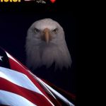 Susie Dotson Profile Picture