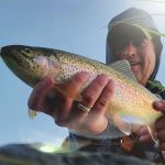 ChristopherB Profile Picture